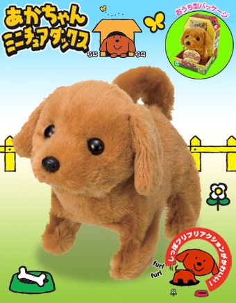 あかちゃんミニチュアダックス