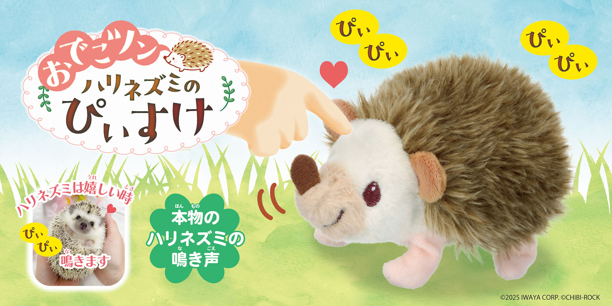 おでこツン　ハリネズミのぴぃすけ