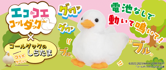 エココエコールダックのイメージ