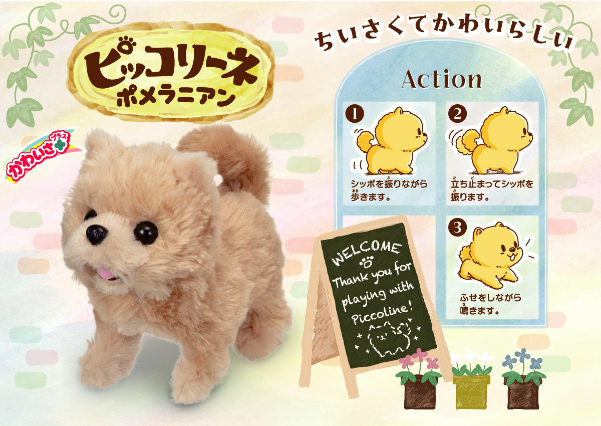 ピッコリーネポメラニアンのイメージ