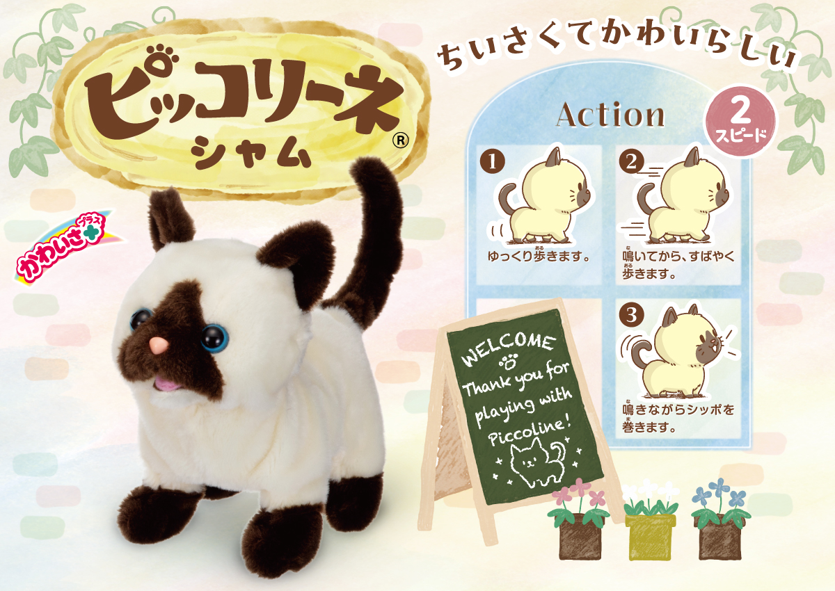 ピッコリーネ シャムのイメージ