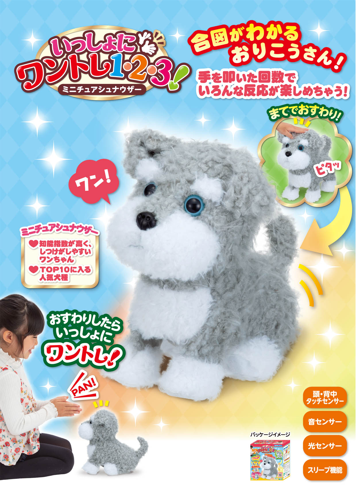 いっしょにワントレ1 2 3 ミニチュアシュナウザー いっしょにワントレ1 2 3 ミニチュアシュナウザー